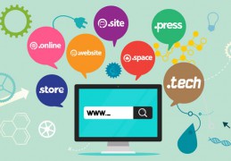 域名對(duì)于互聯(lián)網(wǎng)來(lái)說(shuō)是很重要的 如何查詢(xún)域名注冊(cè)？